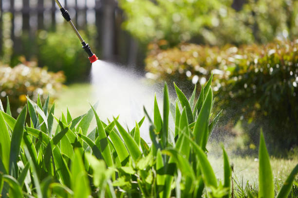 24/7 Emergency Cockroach Control experts in John Day, OR
